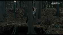 Girlonthetrainthe br theroux hd 02 small 3