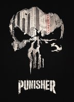 marvels the punisher